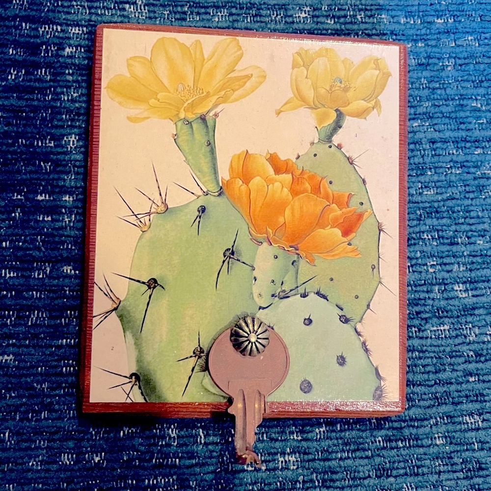 Upcycled Key Hanger Cactus in Bloom